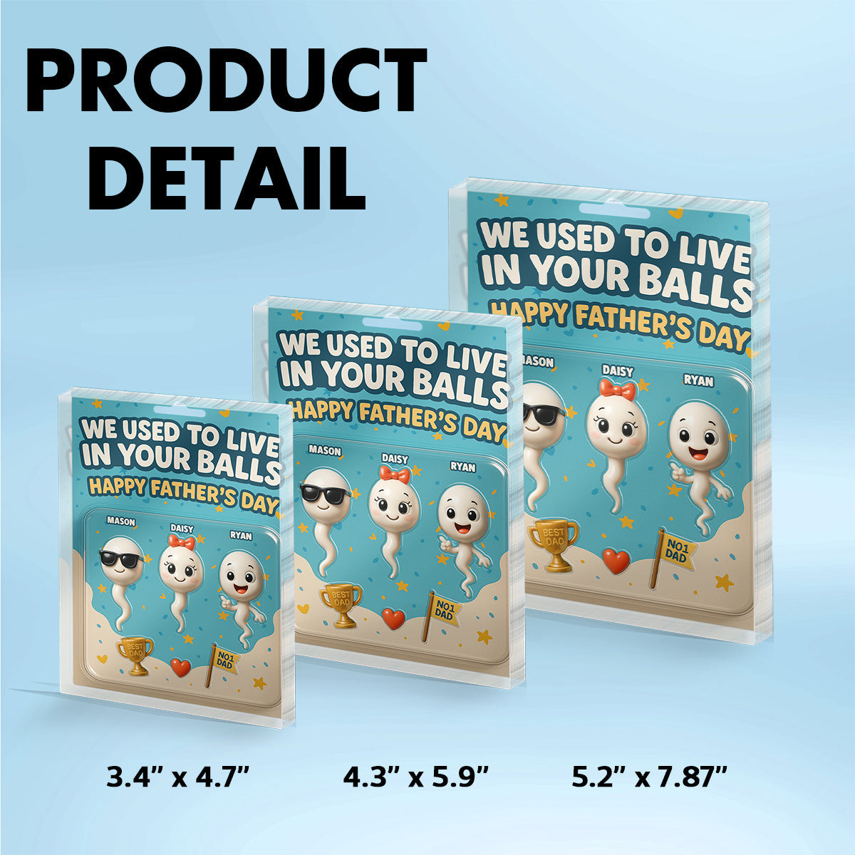 We Used To Live In Your Balls Dad Customer Figure Personalized Acrylic Block Plaque, Father's Day Gift for Dad, Gift for Husband
