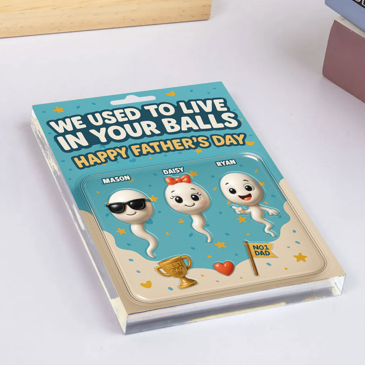 We Used To Live In Your Balls Dad Customer Figure Personalized Acrylic Block Plaque, Father's Day Gift for Dad, Gift for Husband