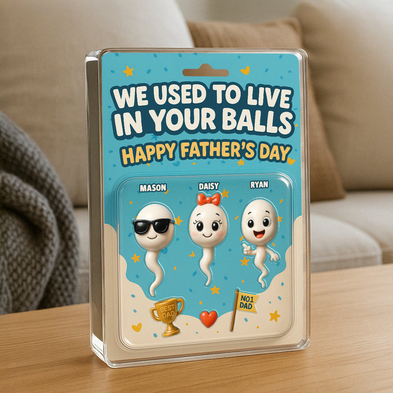 We Used To Live In Your Balls Dad Customer Figure Personalized Acrylic Block Plaque, Father's Day Gift for Dad, Gift for Husband